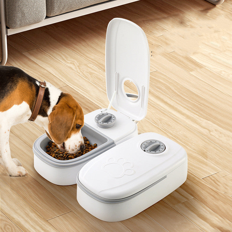 Smart Pet Tech & Care Gadgets
